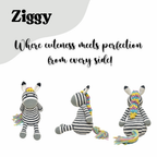 Ziggy Zebra