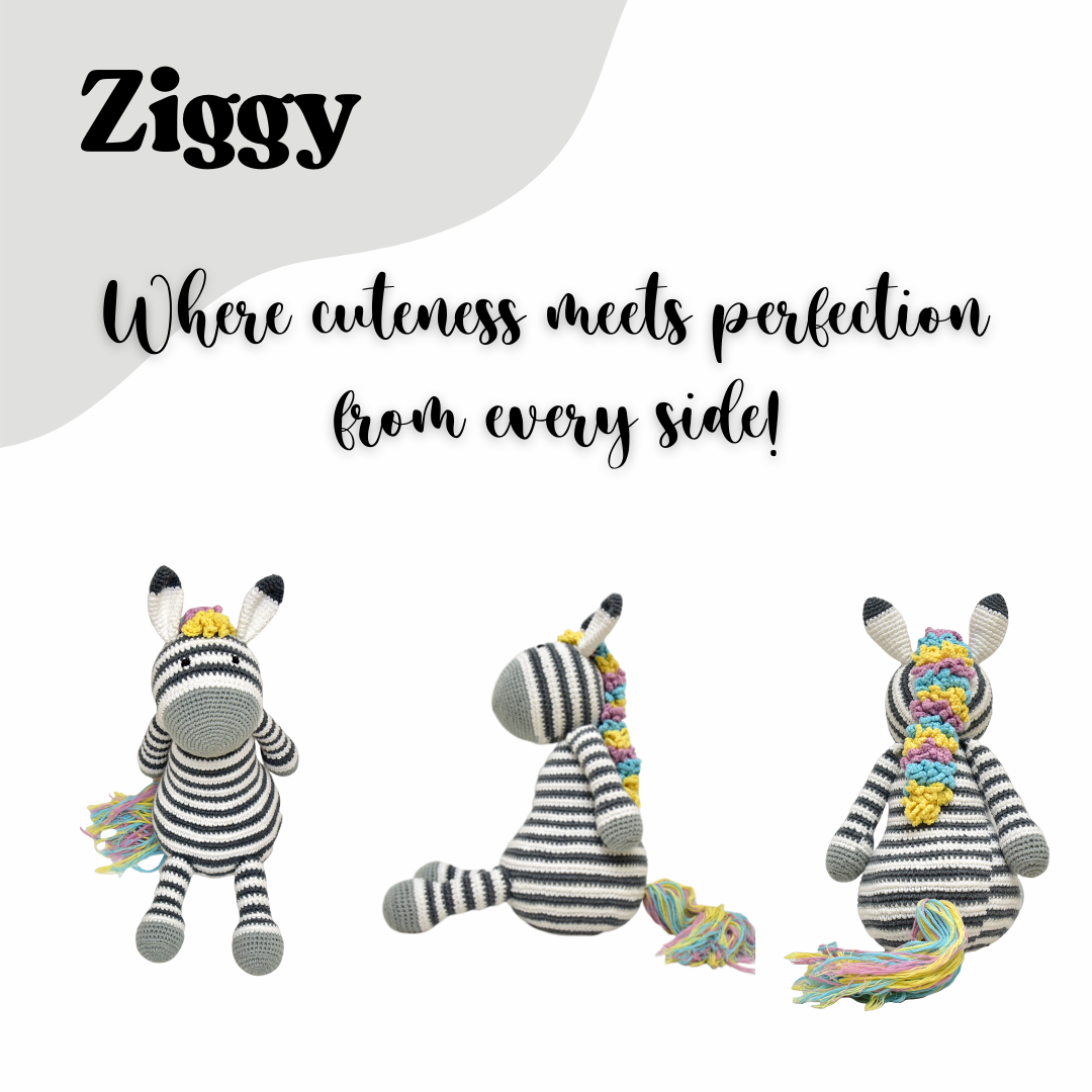 Ziggy Zebra