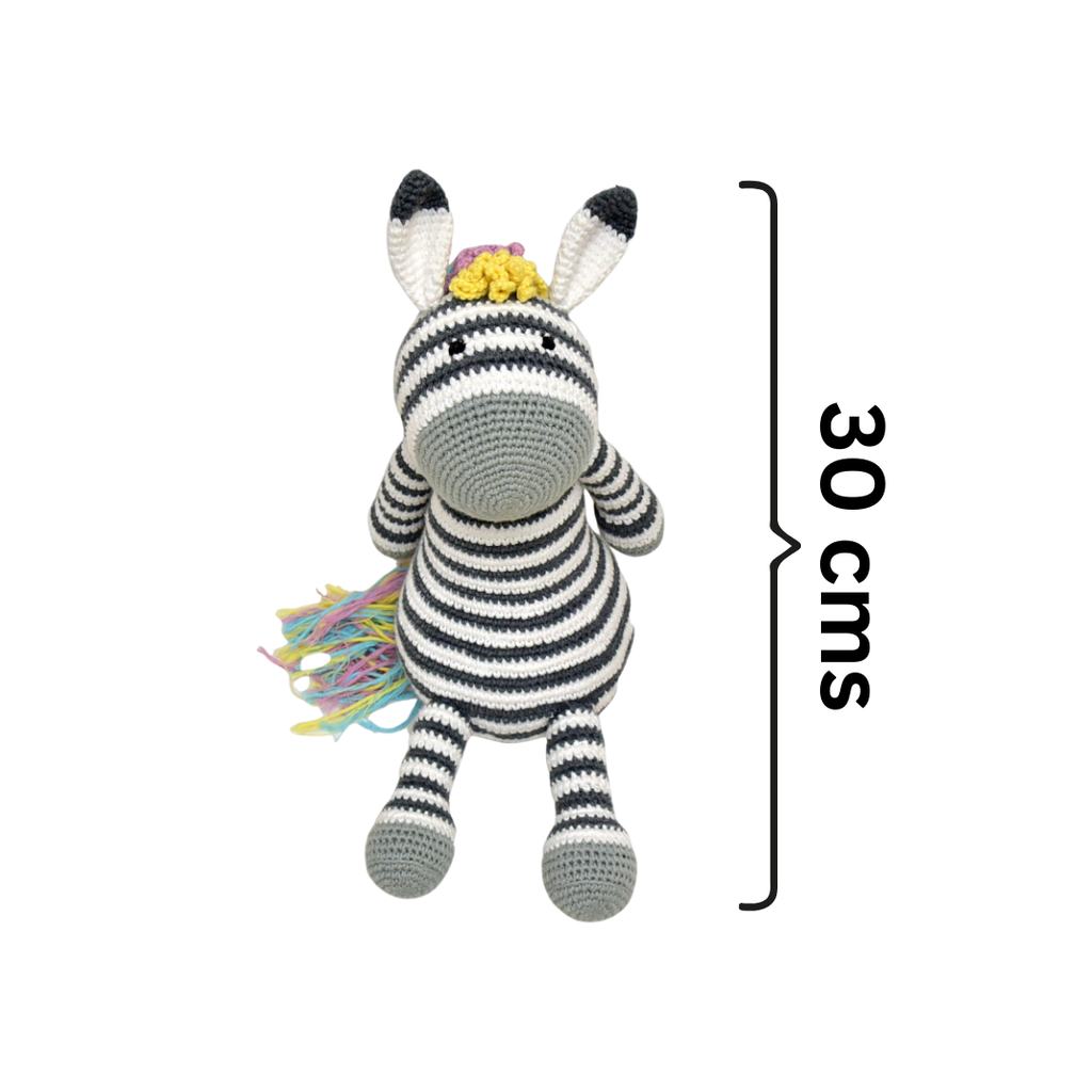 Ziggy Zebra