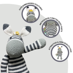Ziggy Zebra