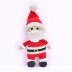 Santa Toy