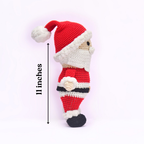 Santa Toy