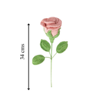 Rose Stem