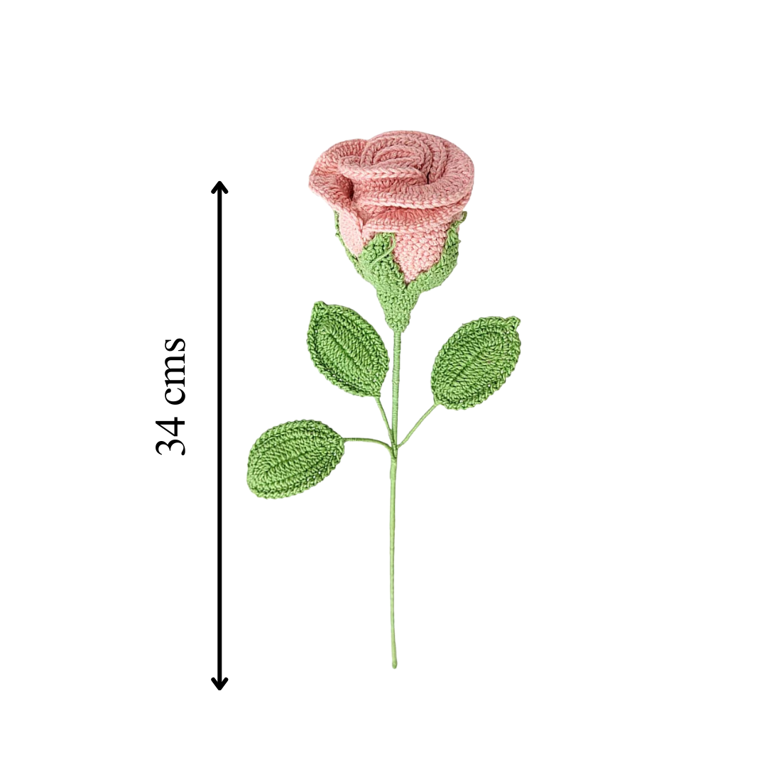 Rose Stem