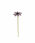 Daisy Stem