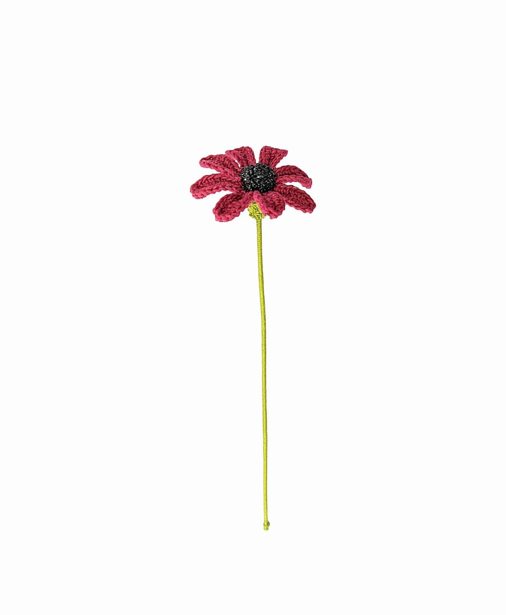 Daisy Stem