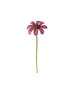 Daisy Stem