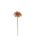 Daisy Stem