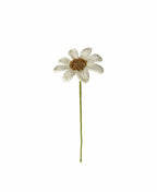 Daisy Stem