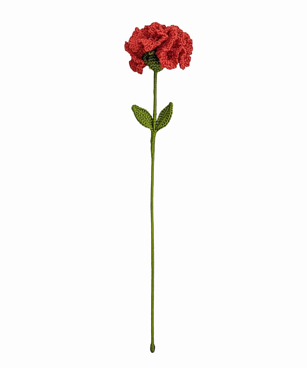Carnation Stem
