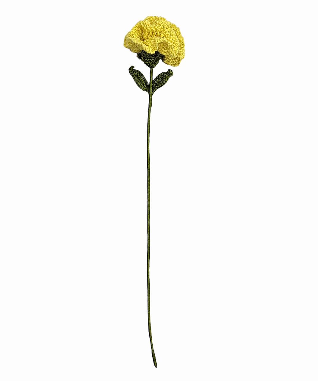 Carnation Stem