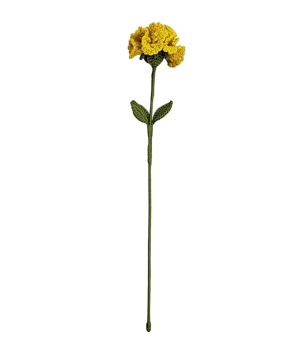 Carnation Stem