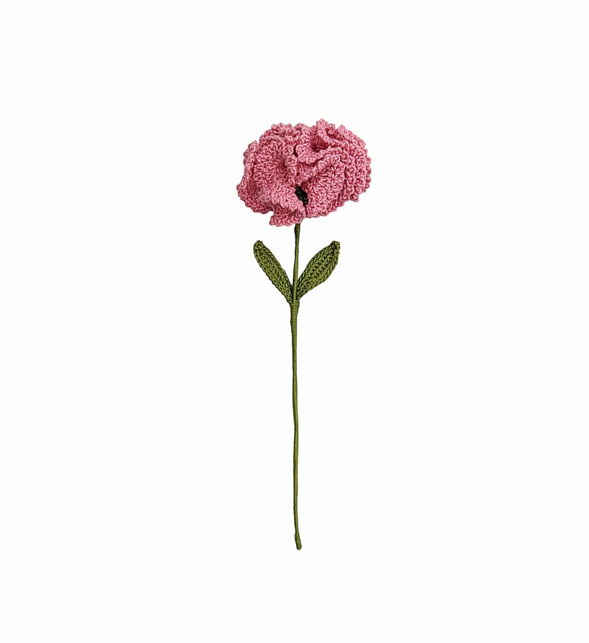 Carnation Stem