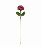 Carnation Stem