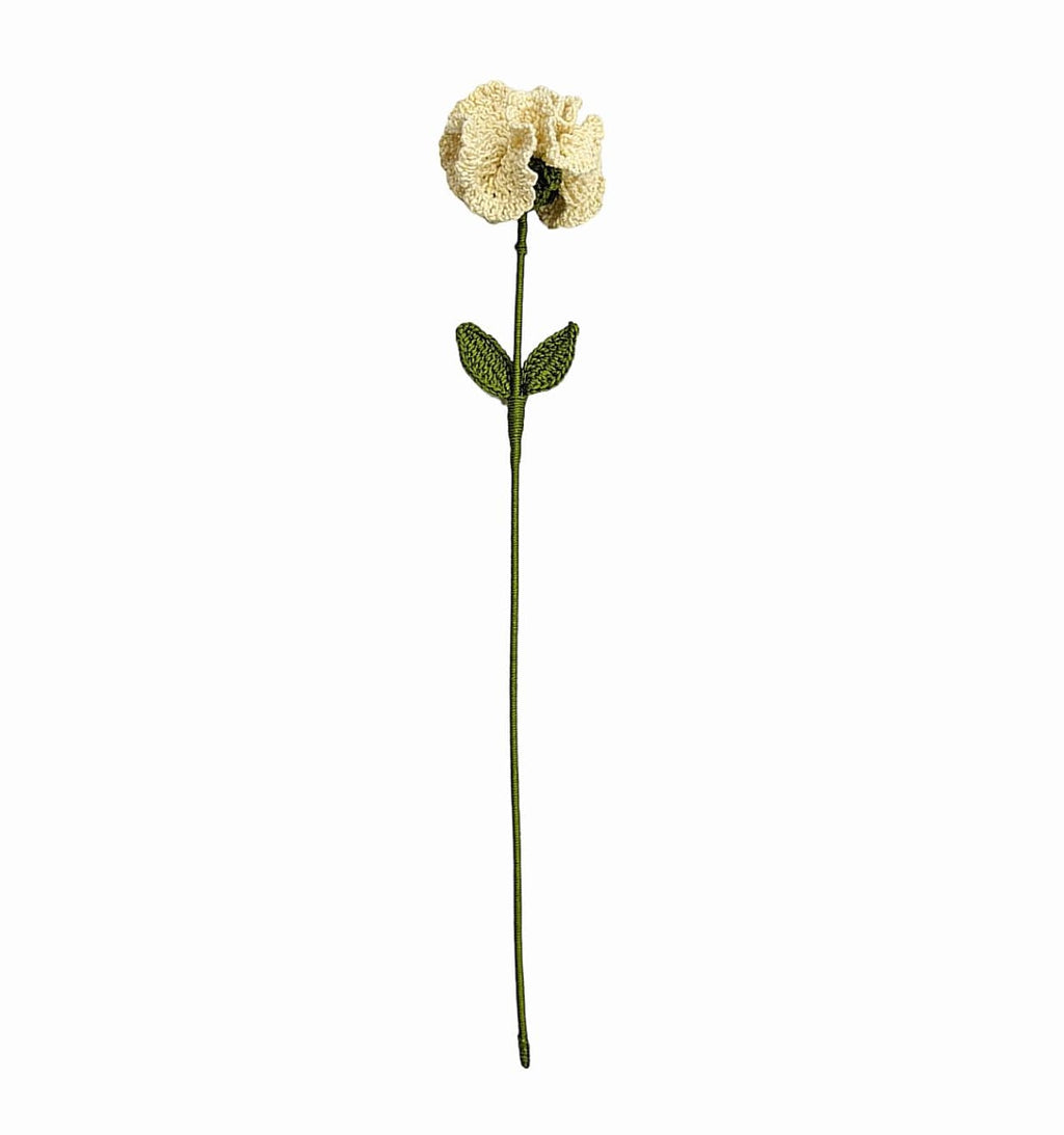 Carnation Stem