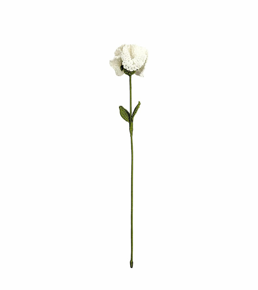 Carnation Stem