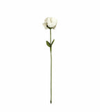 Carnation Stem