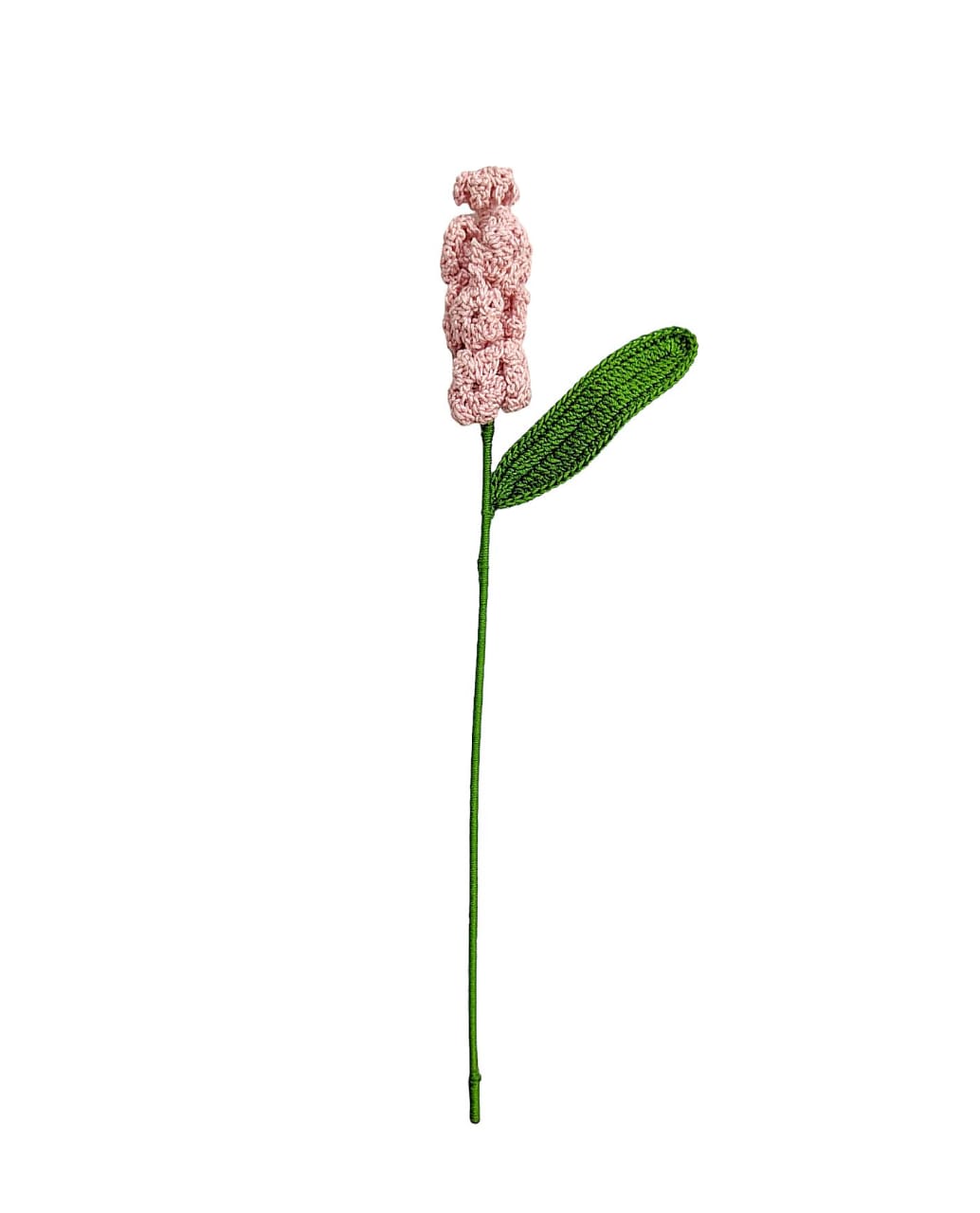 Hyacinth Stem