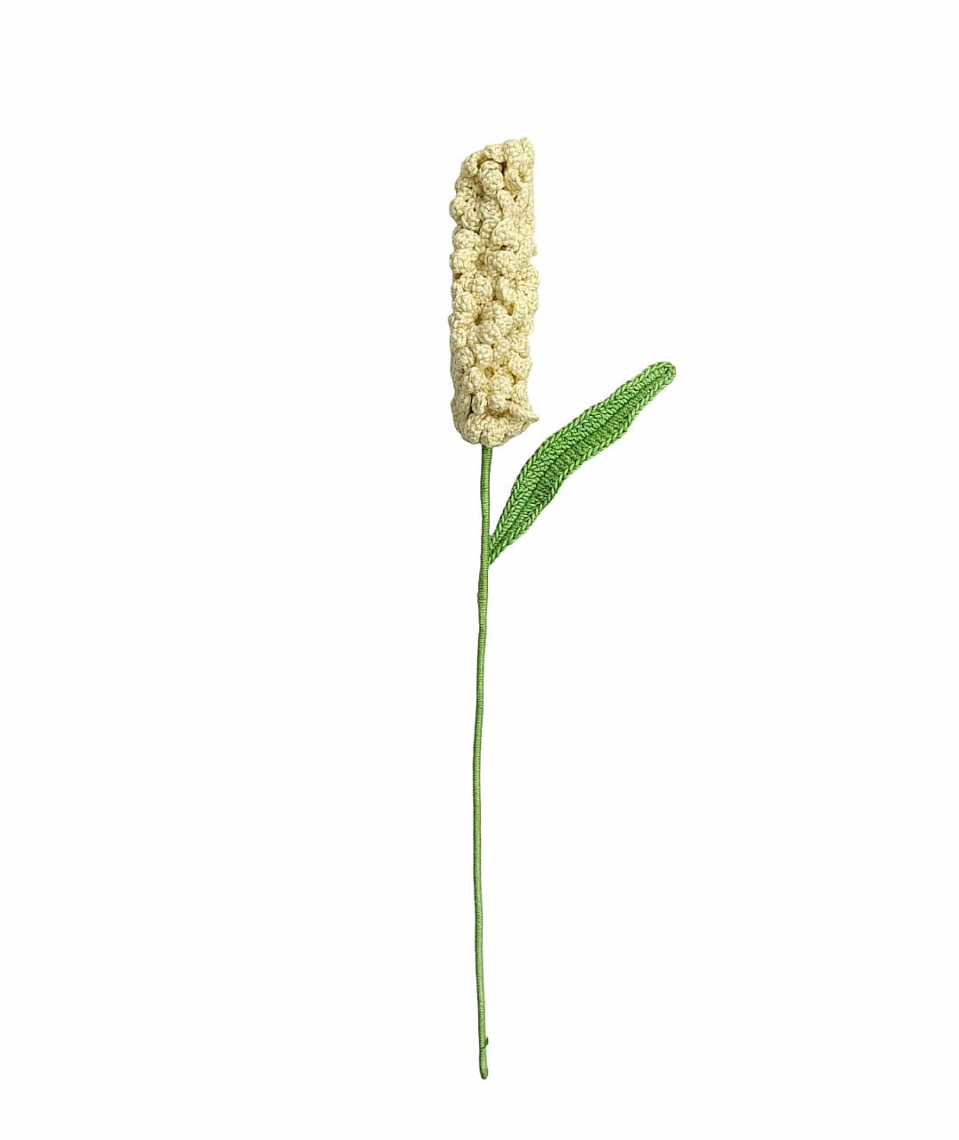 Hyacinth Stem