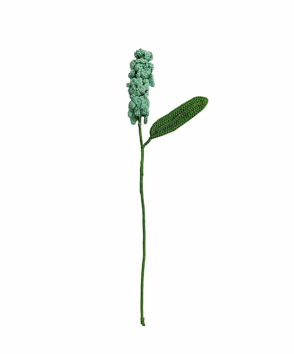 Hyacinth Stem