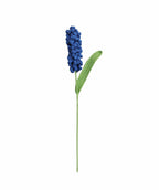 Hyacinth Stem