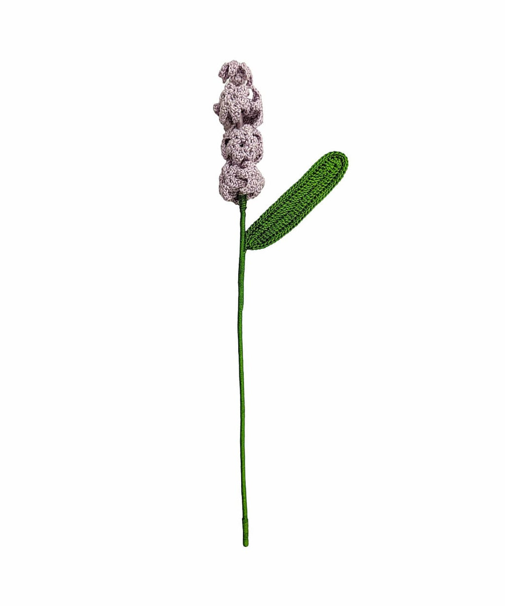 Hyacinth Stem