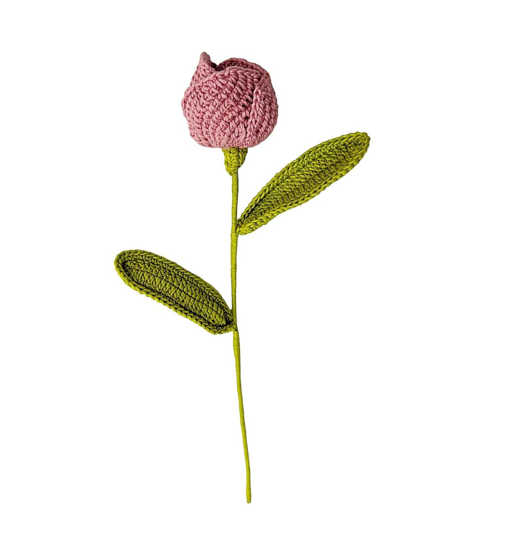 Tulip Stem
