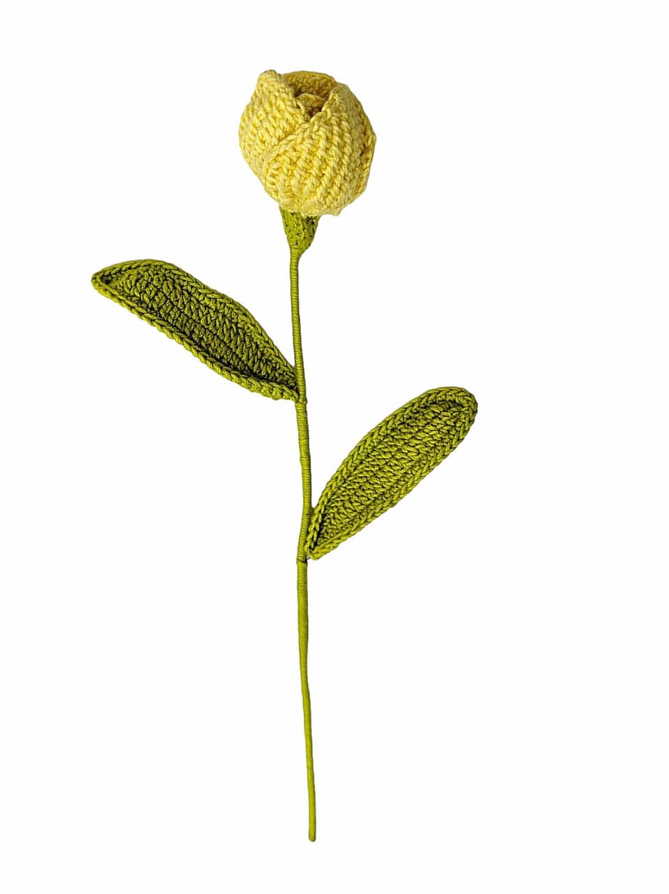 Tulip Stem