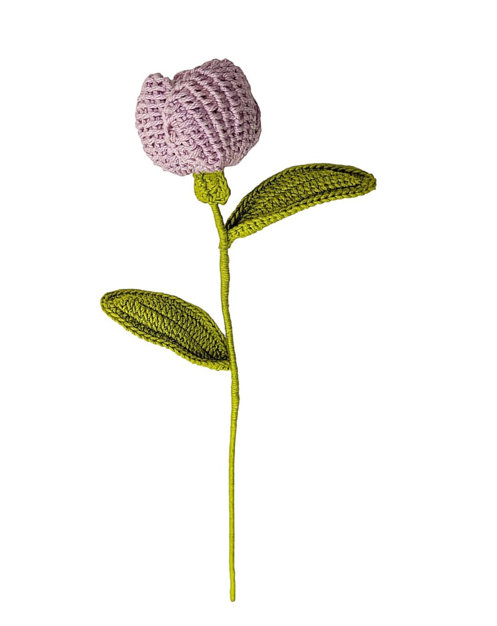 Tulip Stem