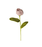 Tulip Stem