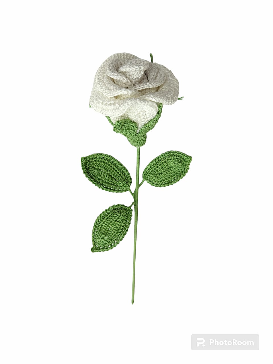 Rose Stem