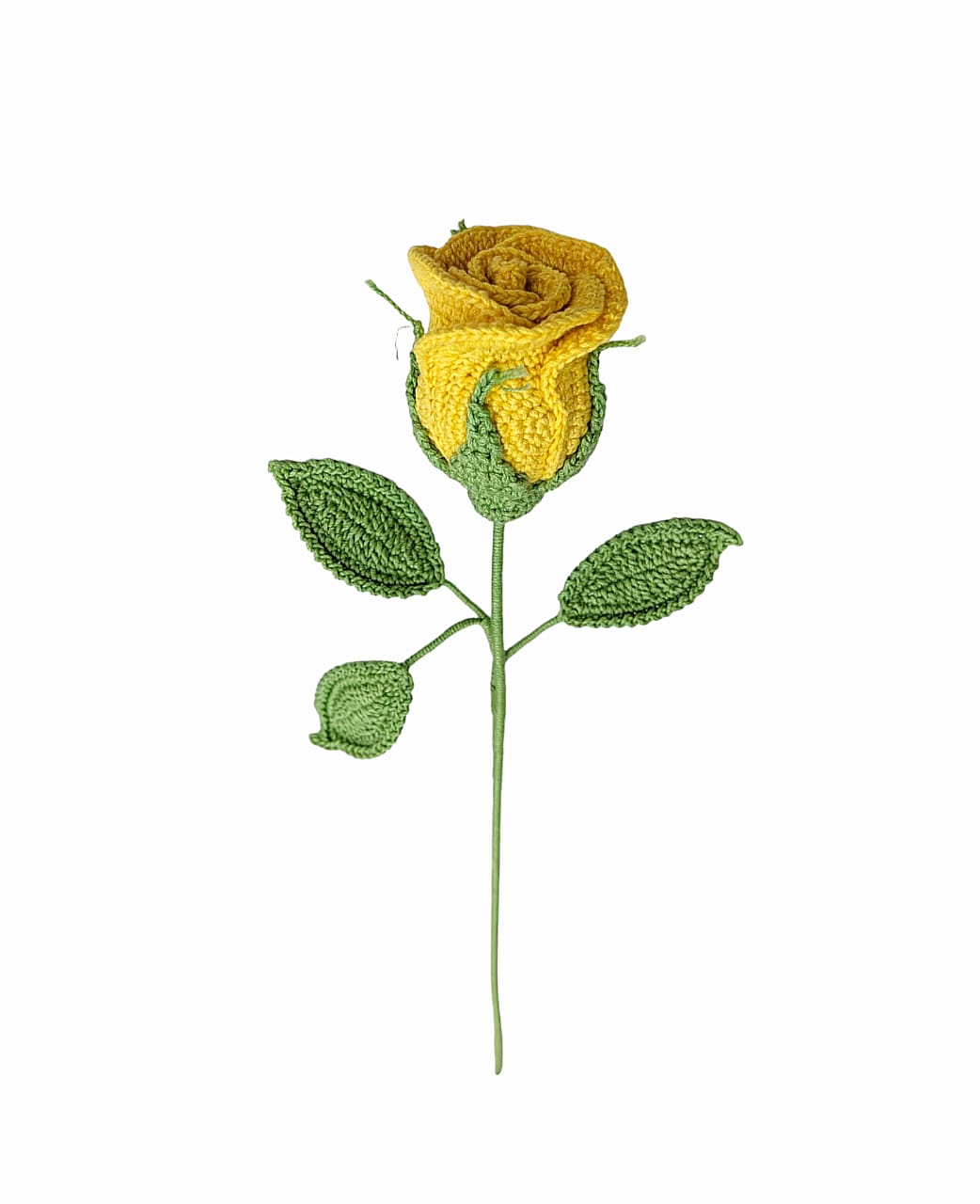 Rose Stem