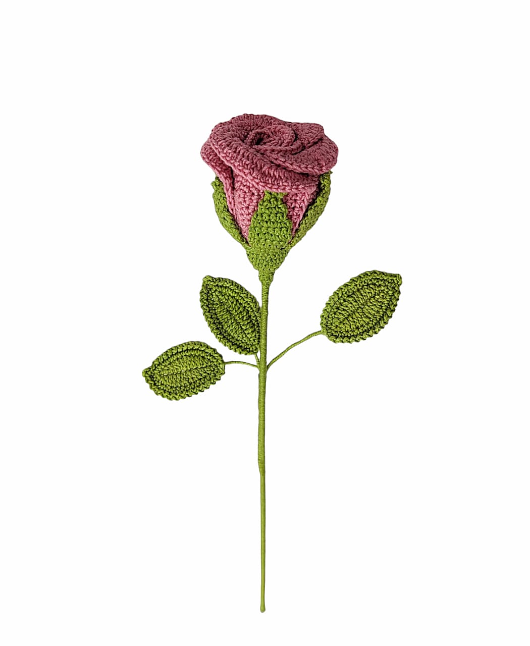 Rose Stem