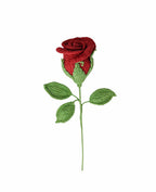 Rose Stem