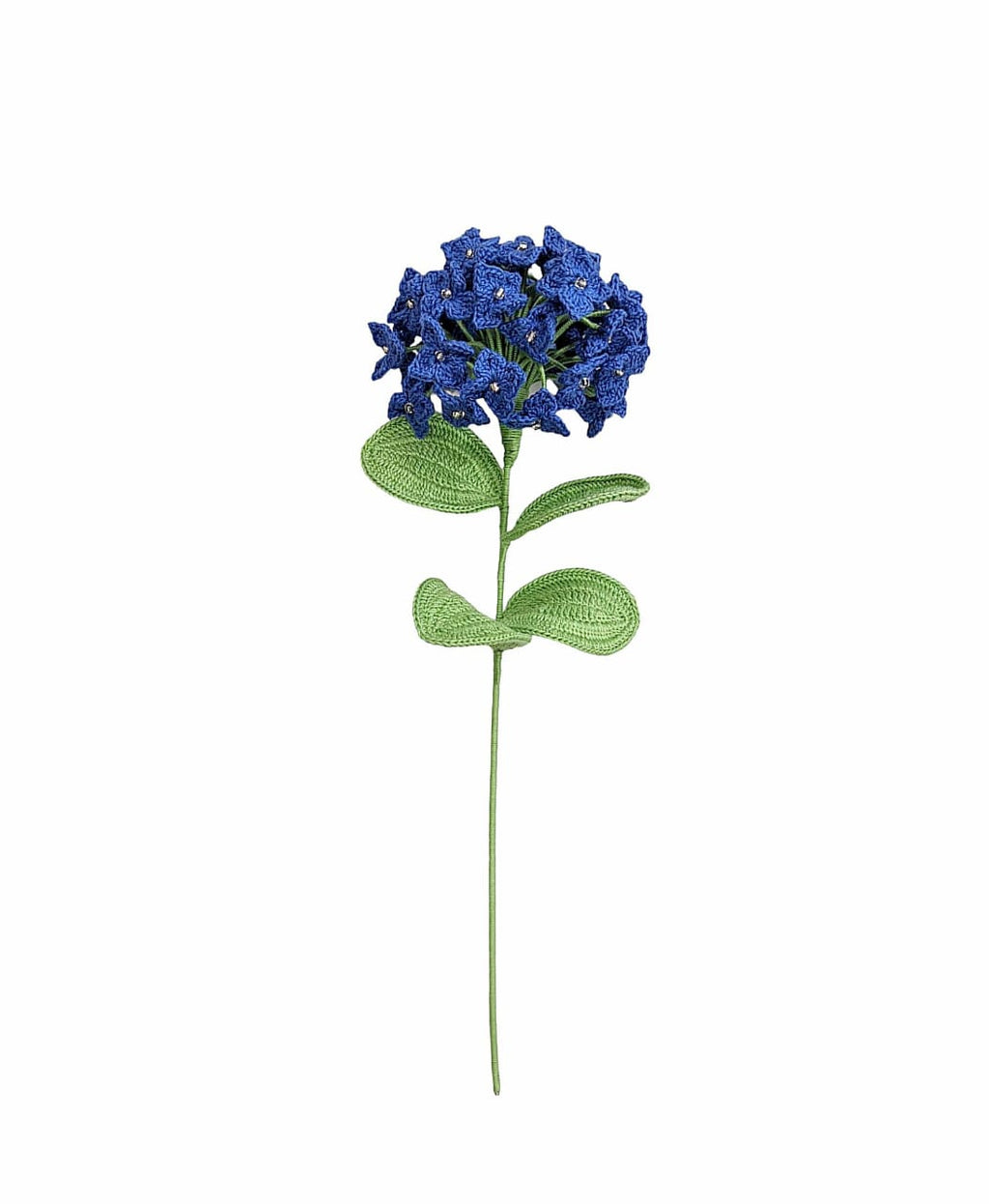 Hydrangea Stem