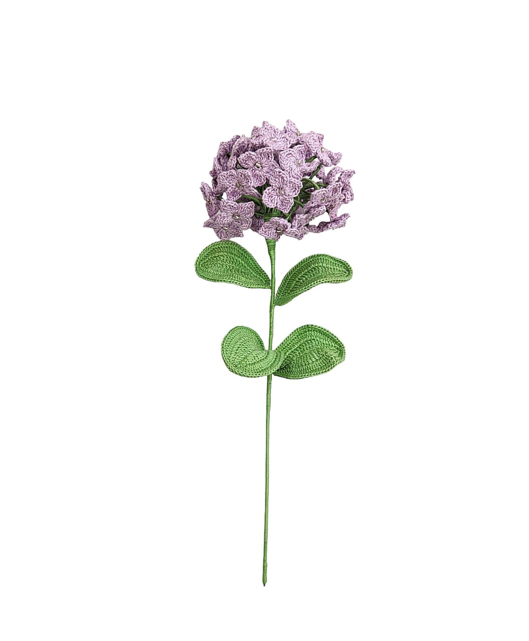 Hydrangea Stem