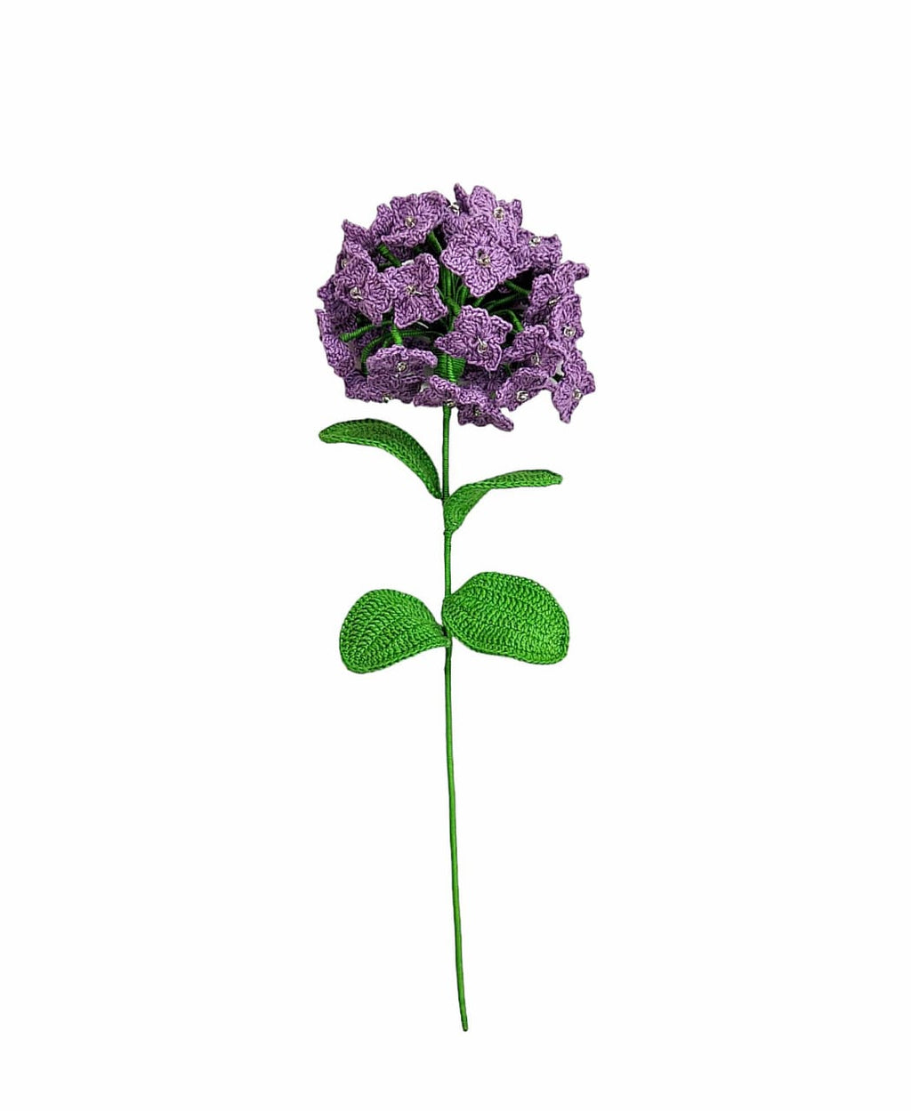 Hydrangea Stem