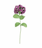 Hydrangea Stem
