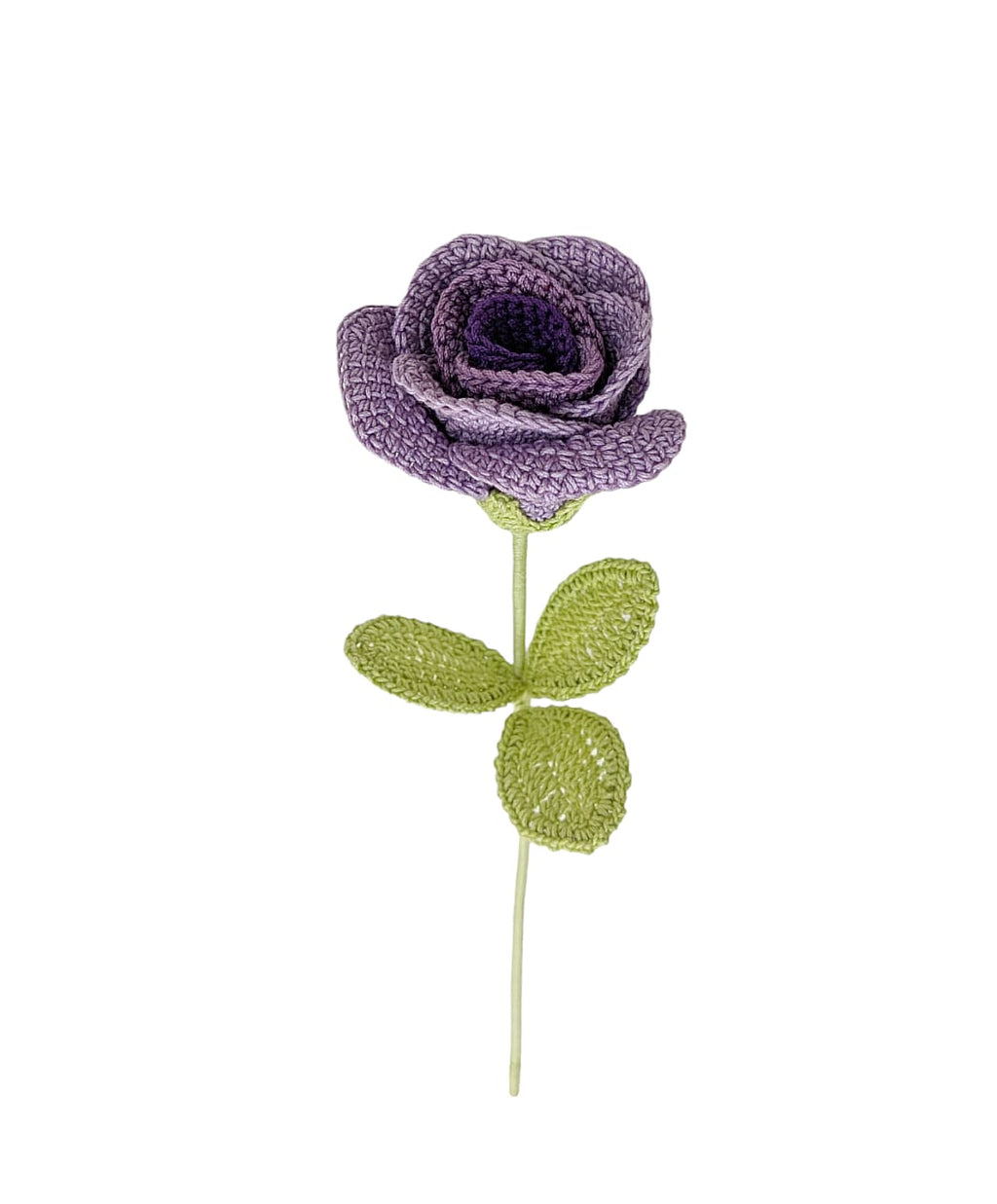 Rose Stem