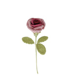Rose Stem