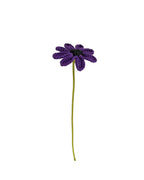 Daisy Stem